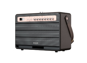 Aiwa MI-X450 Pro Enigma high Efficiency Audio Speaker with Retro Styling - Rose Gold