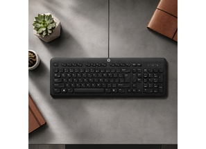 Hp K160 Wired Desktop Keyboard