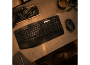 Logitech MK850 Performance Wireless Keyboard and Mouse Combo