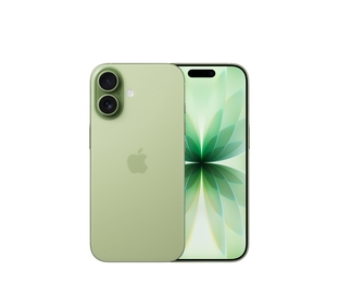 iPhone 17 Sage